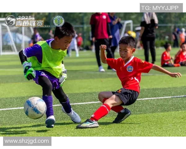 足球明星的个性特征与球场表现之间的微妙关系探讨与分析